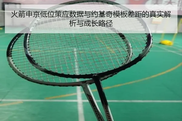 火箭申京低位策应数据与约基奇模板差距的真实解析与成长路径