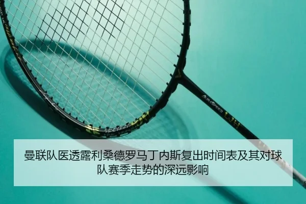 曼联队医透露利桑德罗马丁内斯复出时间表及其对球队赛季走势的深远影响